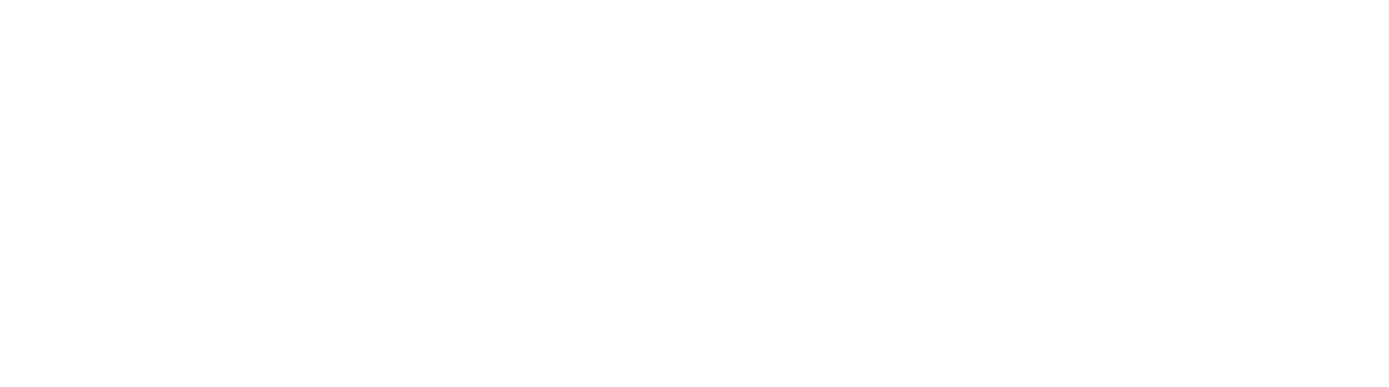 Noriker Logo